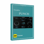 Zynaptiq - PUNCH