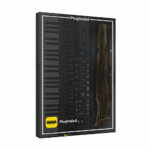 Ample Sound - China Guqin