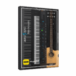 Ample Sound - Bass Acoustic