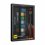 Ample Sound - Bass Upright