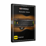 Nembrini Audio - NA Acoustic Voice