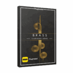 Native Instruments – Brass Solo