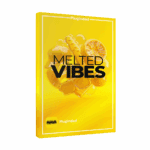 Native Instruments – Melted Vibes