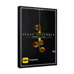 Native Instruments – Symphony Series Brass Ensemble