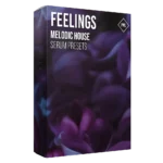 PML - Serum Presets Melodic House Feelings