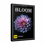 Naroth Audio – Bloom