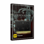 Rigid Audio - Perception
