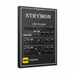 Strymon – DIG Plugin