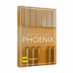 Native Instruments – Electric Keys – Phoenix