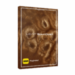 Native Instruments – Leap Soul Gold